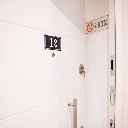 Matisse No12 - Center *